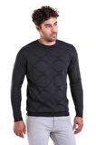 Erkek Antrasit Regular Fit Yünlü Desenli Bisiklet Yaka Triko Kazak | M