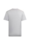 Gri Regular Fit Bisiklet Yaka Pamuklu Basic Tişört | XXL