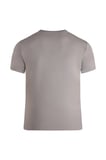Gri Regular Fit Bisiklet Yaka Tişört | S