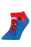 DeFacto Erkek Çocuk Marvel Spiderman Pamuklu 3'lü Patik Çorap X2345A6NSKR1