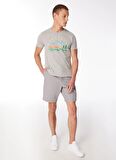 Merrell Gri Erkek O Yaka Baskılı T-Shirt M4TOBIM_TOBI M