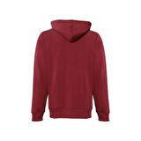 Hummel Erkek Hoodie Arus