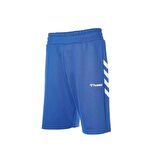Hummel Falconzo Şort 931145-9821