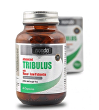 Nondo Advanced Tribulus 60 Kapsül
