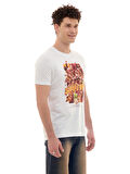 2023 Şampiyonluk T-Shirt E231296