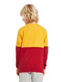 Galatasaray Çocuk Sweatshirt C232153