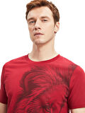 Galatasaray Erkek T-Shirt E241112