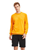Galatasaray Erkek Basic Sweatshirt E241235