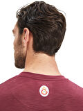 Galatasaray Erkek T-Shirt E241098