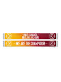 Galatasaray 24 Şampiyonluk Şal Atkı U241396