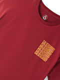 Galatasaray Çocuk T-Shirt C251056