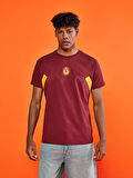 Galatasaray Erkek T-Shirt E251110