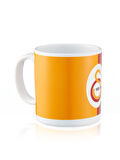 Galatasaray Parçalı Mug U251124