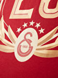 Galatasaray 25 Şampiyonluk T-Shirt E251351