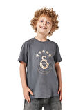 Galatasaray 5 Yıldız Çocuk T-Shirt C251352