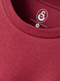 Galatasaray Premium Basic T-Shirt E251136