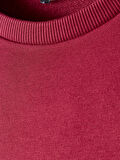 Galatasaray Premium Basic Sweat E251139