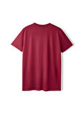 Galatasaray Premium Basic T-Shirt E251135
