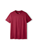 Galatasaray Premium Basic T-Shirt E251135
