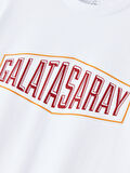 Galatasaray Erkek T-Shirt E252097