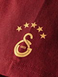 Galatasaray Erkek T-Shirt E252097