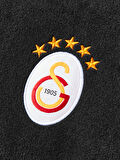Galatasaray UCL Erkek Yarım Zip Sweatshirt E252226