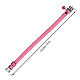 Neon Zilli Kedi Tasması Pembe Renk