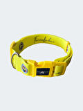 FB YELLOW TASMA