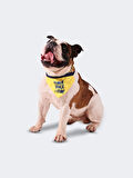 FB FAN PET BANDANA SARI
