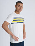 ERKEK TRIBUN BRUSH ŞERİTLİ TSHIRT