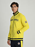 ERKEK TRIBUN SARI LACİVERT SWEAT