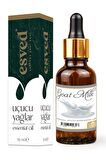Süt Banyosu Kokusu Saf Esansiyel Uçucu Yağ Buhurdanlık Yağı Difüzör Esansı Aromaterapi Ortam Koku 10ml