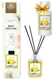 Limon Çiçeği Kokusu 100 Ml Çubuklu Oda Kokusu Yedek Dolum Şişesi Hediyeli