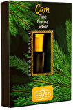 Çam Kokusu Sprey 400 Ml. Çam Kokusu Parfüm Esansı 3Ml. Hediyeli