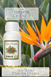 Tropik Cennet Kokusu  Toptan Parfüm Esansı 1 Kilogram