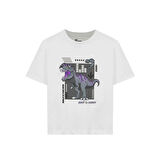 Graphic Tee B Çocuk T-Shirt SK241085-102