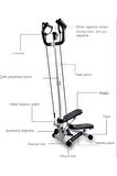 PB-35 Dikey Model Stepper Fitness Stepper Egzersiz Aleti Total Body Twister Crosstep Step Siyah