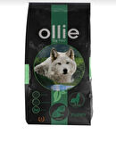 Ollie etli yetişkin köpek maması 15 kg