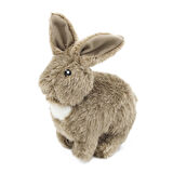Peggy Chew-It! Minik Tavşan 35 Cm Köpek Oyuncağı (Sesli)