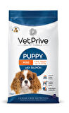 Vet Prive Mini Puppy Salmon Yavru Köpekler için Somonlu Mama 3 Kg