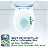Domestos Wc Blok 5'Li Güç Çam Ferahlıgı 50GR 6863