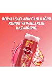 Elidor Renk Koruyucu Şampuan 400 Ml