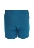 The Don Petrol Erkek Boxer TDNPNY032