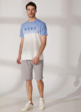 Aeropostale Bisiklet Yaka Baskılı Mavi Erkek T-Shirt E-ECHO
