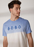 Aeropostale Bisiklet Yaka Baskılı Mavi Erkek T-Shirt E-ECHO