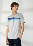 Discovery Expedition Gri Erkek Bisiklet Yaka Kısa Kollu Relaxed Baskılı T-Shirt HARDAP