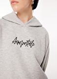 Aeropostale Kapüşon Yaka Düz Gri Melanj Kadın Sweatshırt A3WL-SWT13