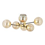 Maral 6Lı Siyah Gold  Bal Camlı Modern Genç Odası Yatak Odası Retro Salon Avize 
