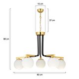 Akkor 5Li Siyah Gold Modern Oturma Odası Yatak odası Salon Avize 