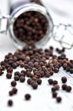 TANE KARABİBER 100GR